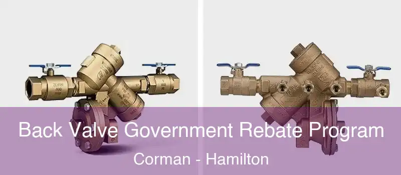 Back Valve Government Rebate Program Corman - Hamilton