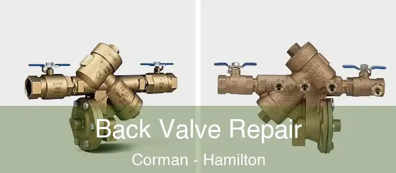 Back Valve Repair Corman - Hamilton