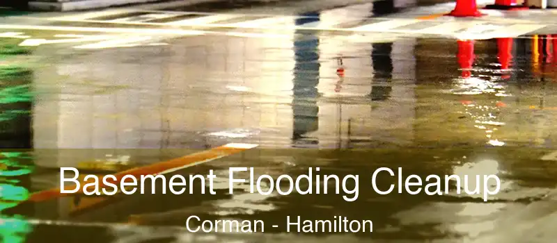  Basement Flooding Cleanup Corman - Hamilton