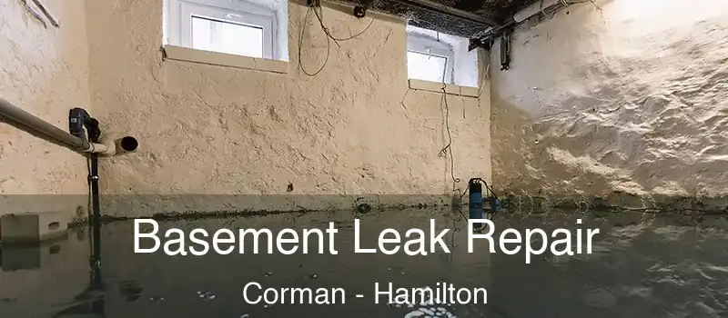 Basement Leak Repair Corman - Hamilton