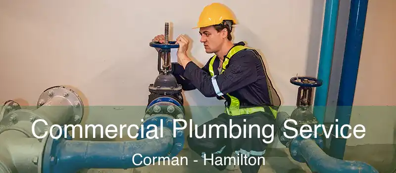 Commercial Plumbing Service Corman - Hamilton