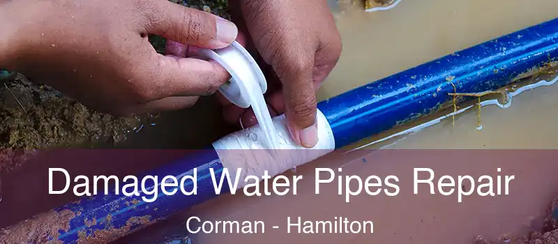  Damaged Water Pipes Repair Corman - Hamilton