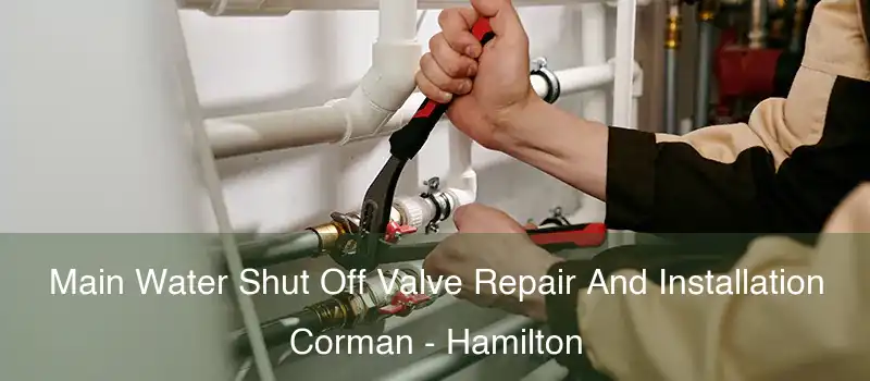  Main Water Shut Off Valve Repair And Installation Corman - Hamilton