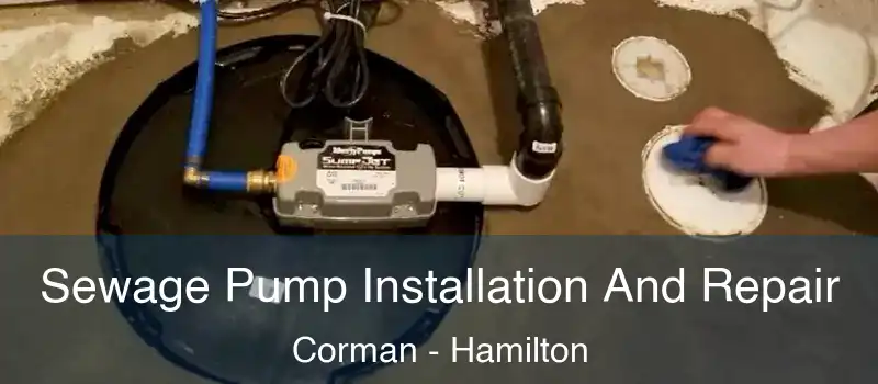Sewage Pump Installation And Repair Corman - Hamilton
