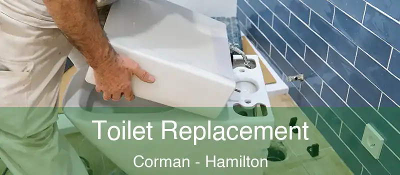  Toilet Replacement Corman - Hamilton