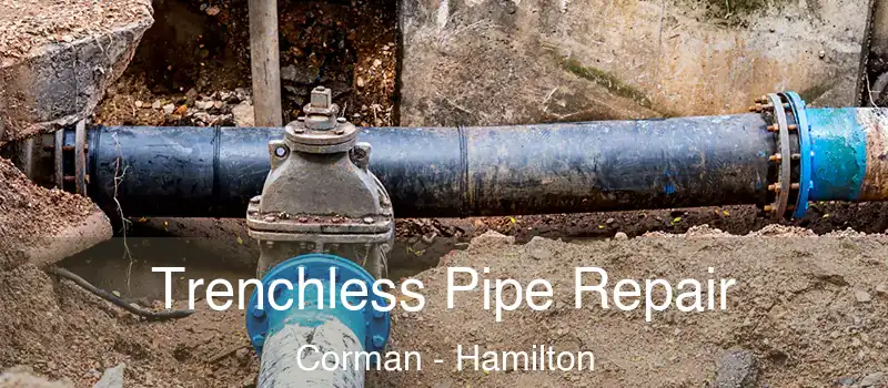 Trenchless Pipe Repair Corman - Hamilton
