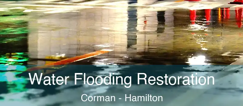 Water Flooding Restoration Corman - Hamilton